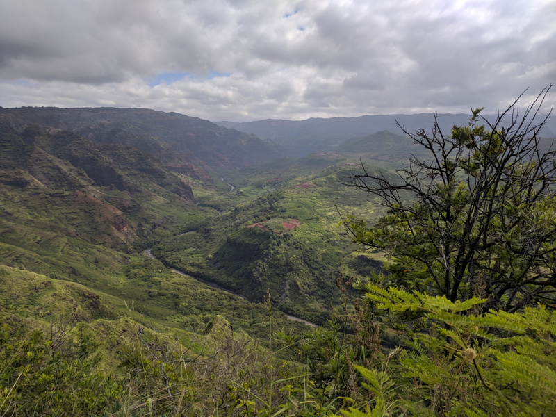 Illustration for article titled Waimea Canyon photo dump